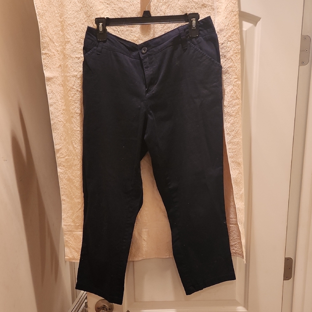 G.H. Bass & Co. Navy Chino Pants